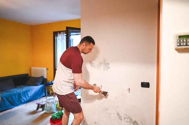 Best White Mold Remediation in Fort Myers Beach, FL